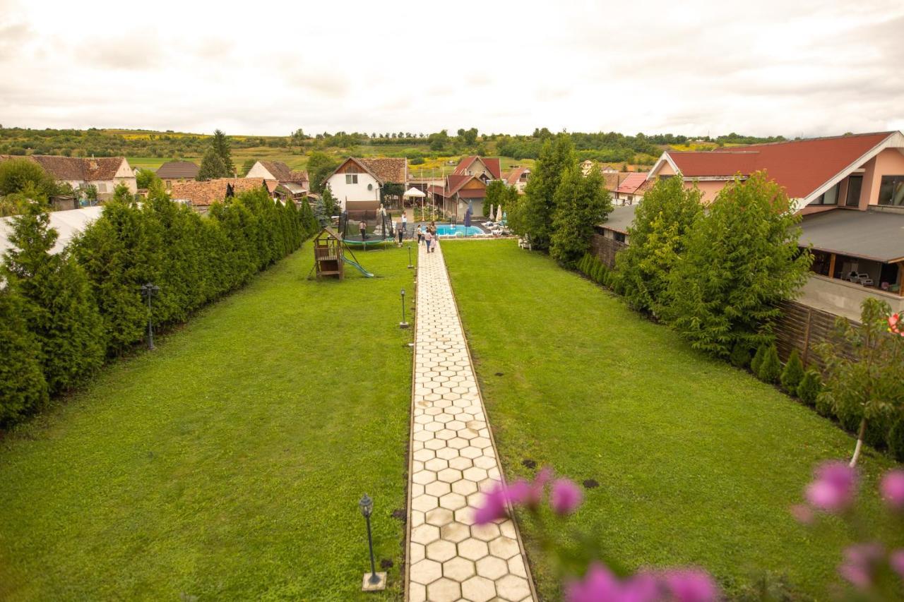 Pensiunea Sachsenhof Bagaciu Exterior foto