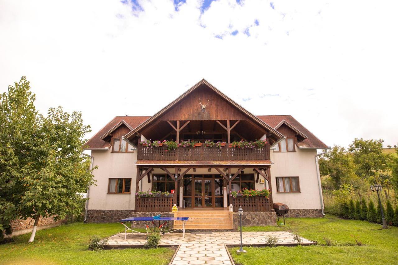 Pensiunea Sachsenhof Bagaciu Exterior foto